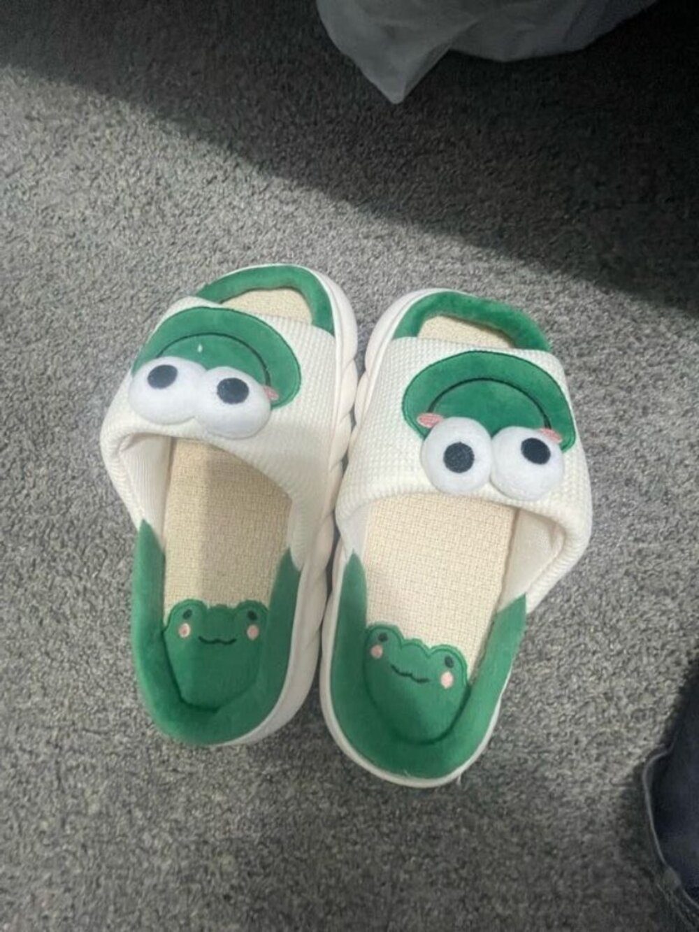 Frog Cute design Slides